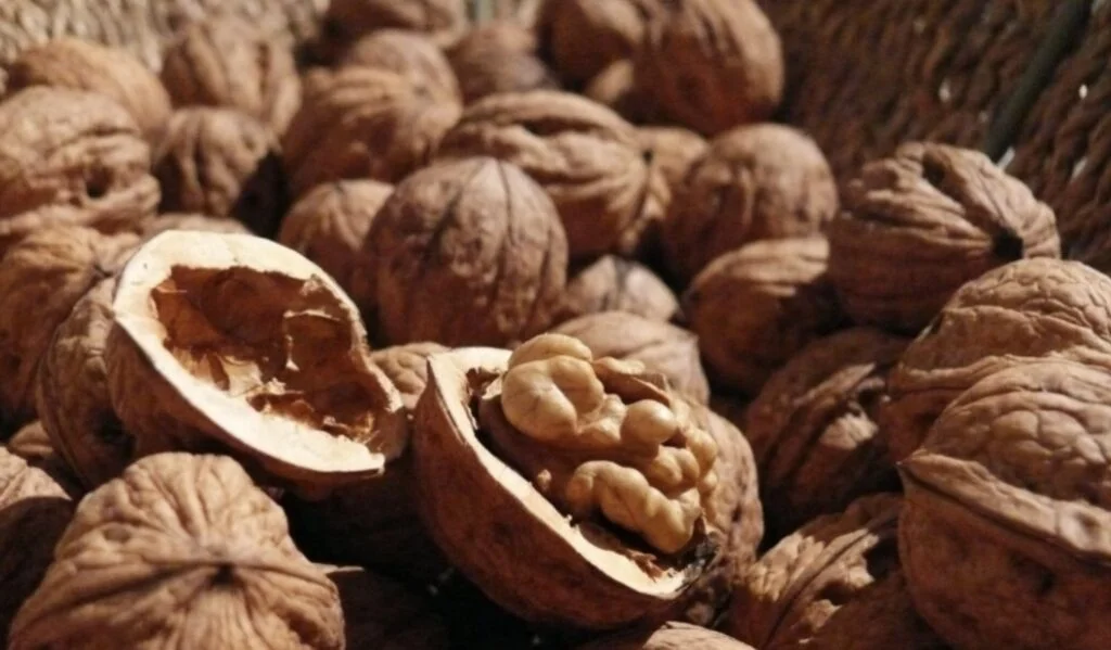 Walnuts
